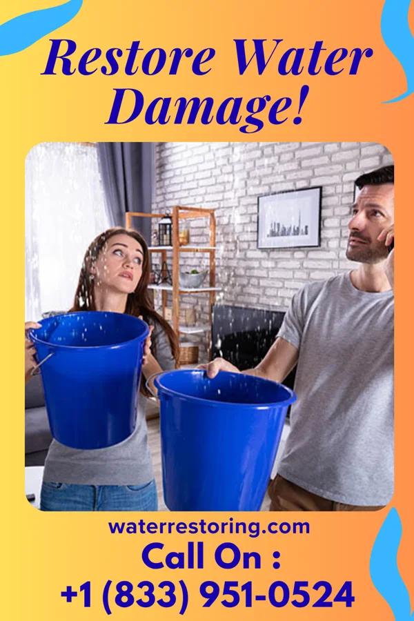 water restoration Falcon Water Restoration Specialists Hollywood