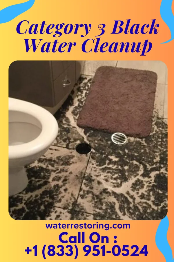 Category 3 Black Water Cleanup in Hollywood, MO