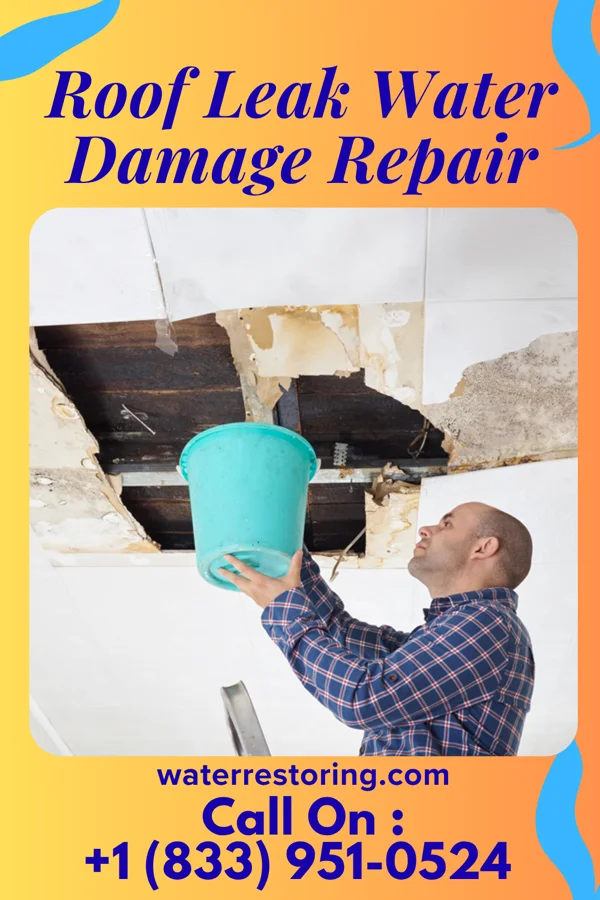 Roof Leak Water Damage Repair in Hollywood, MO